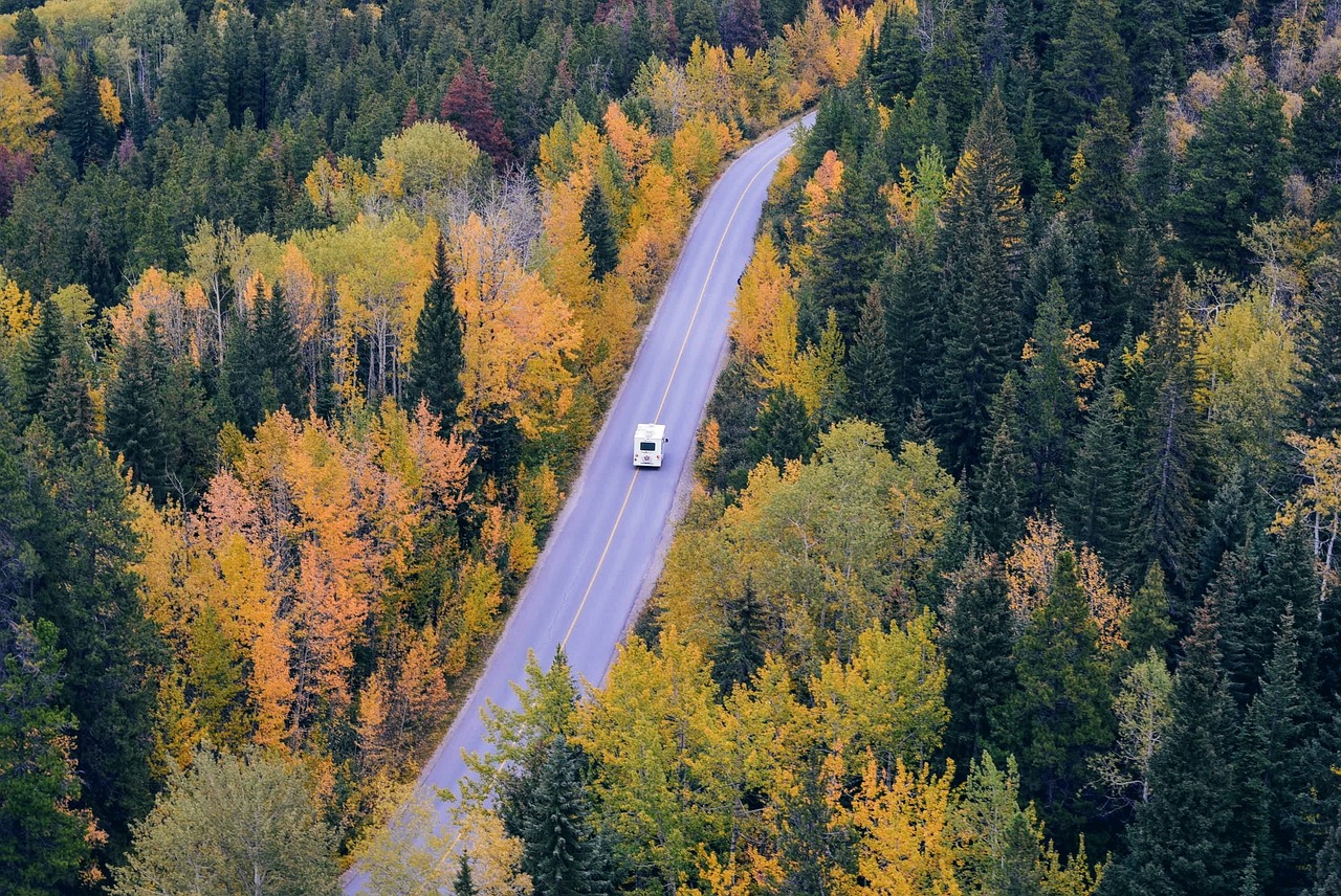 阜阳阜之旅最新线路探索与体验