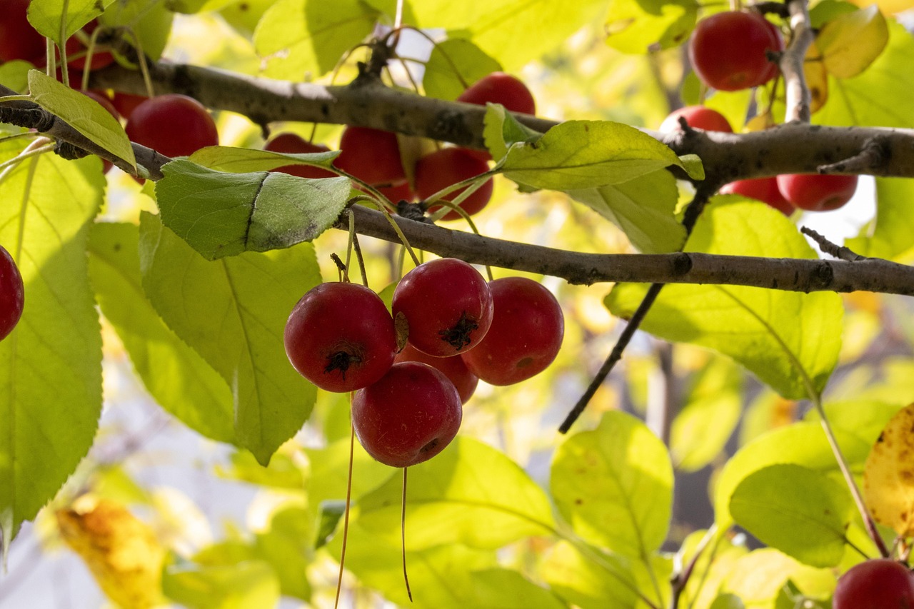 易于相忘 第3页