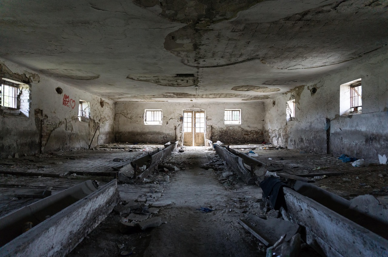 匪大最新小说,神秘未知世界的探索之旅